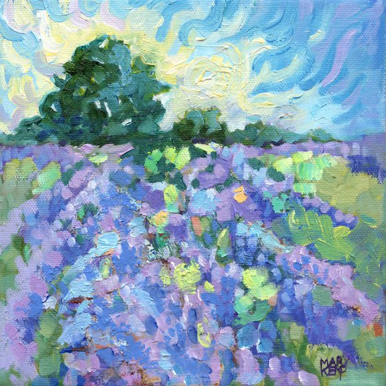 Lavender Landscape - Norfolk