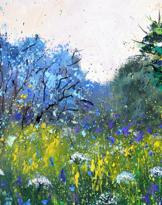 White and blue Wild flowers