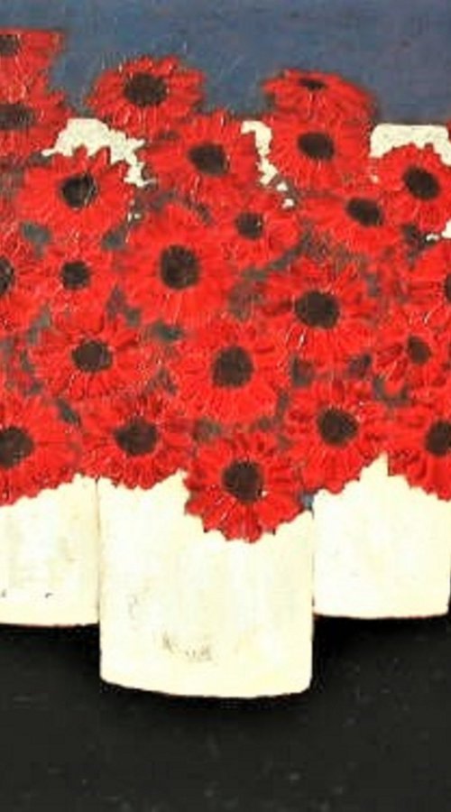POTS OF BARBERTON DAISIES by David J Edwards