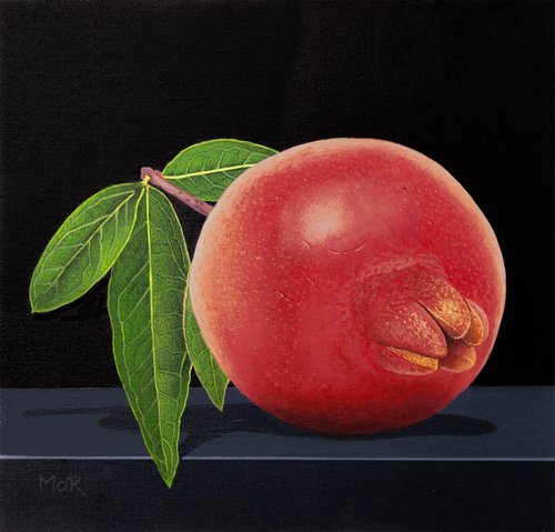 Explosive Fruit by Dietrich Moravec