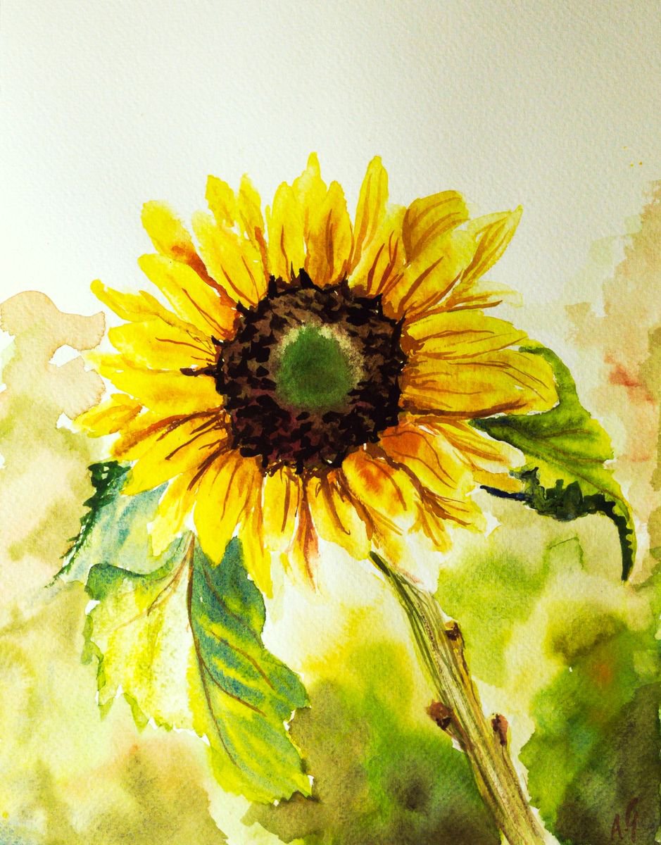 Impressionistic Botanical Watercolour By Aneta Gajos, 9 X 13, Sunflower, Original Artwork