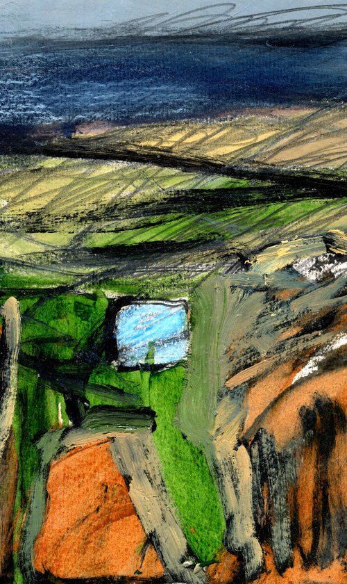 Tiny Blue Spring by Elizabeth Anne Fox