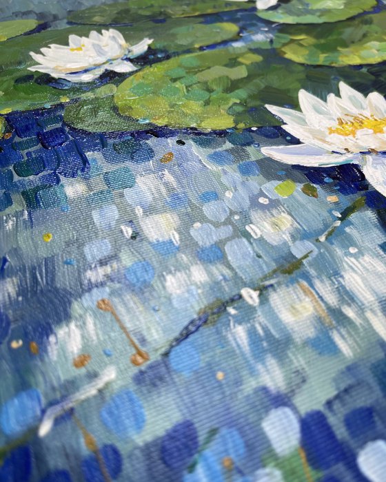 Water lilies. Impression.