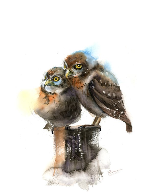 Pair of Owls - watercolor painting