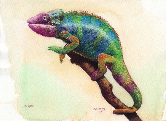 Chameleon II