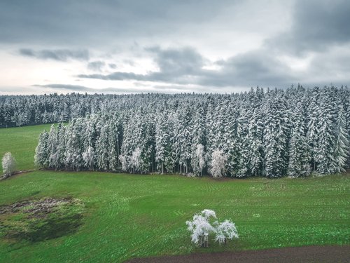 WHITE AND GREEN by Fabio Accorrà