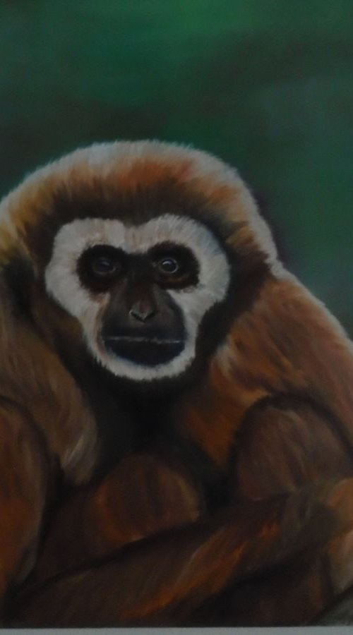 Mother Gibbon by Timea  Valsami