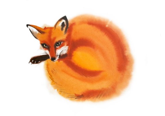 Red Fox - foxy - fox watercolor - fiery foxes - fiery fox