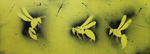 Wasps by Ian Spicer