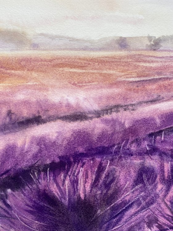 Morning in the Fields