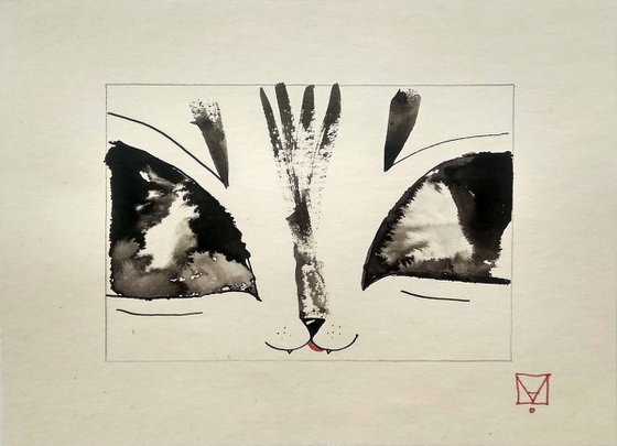 "CAT 3"