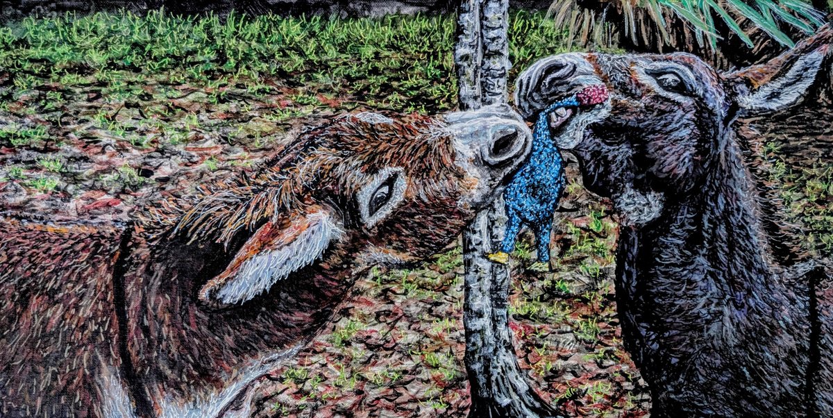 Photorealistic Animal Acrylic Painting By Robbie Potter, 24 X 12", Donkeys Playing, Original Artwork