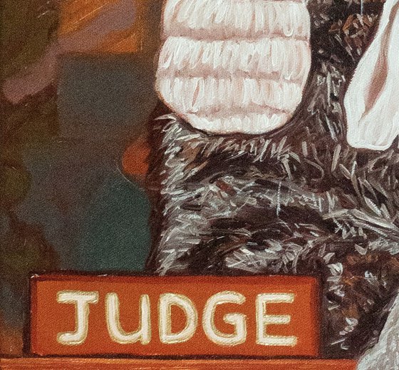 Cat judge