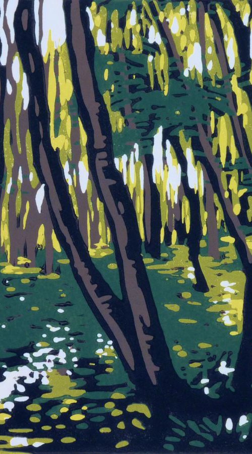 Stoke Wood in Summer by Alexandra Buckle