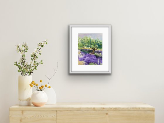 WC: Olive Trees in Provence