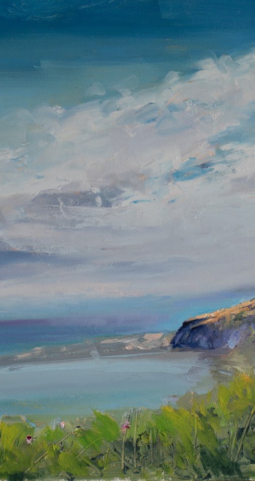 Coastal Light by Sean Fear