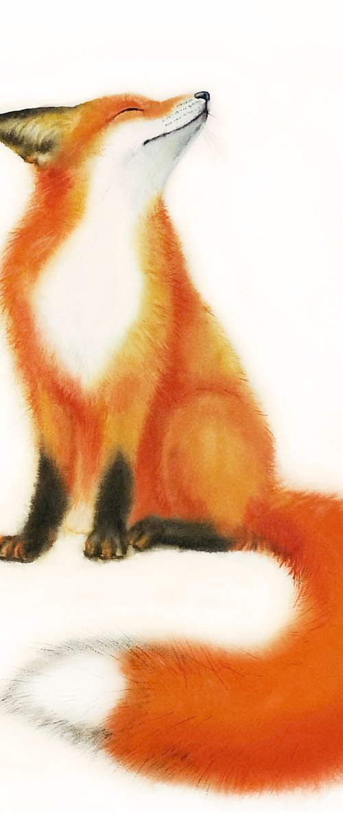 Red Fox - foxy - fox portrait by Olga Beliaeva Watercolour