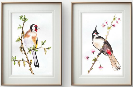 Twin Colorful Noble birds