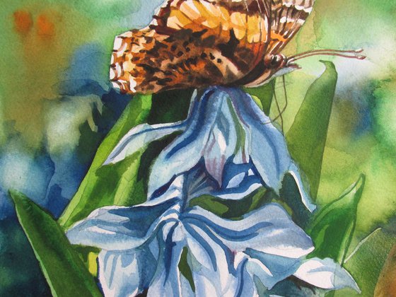 butterfly with scilla