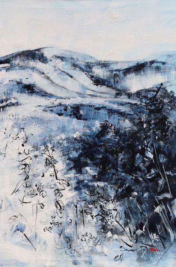 Mountains at Shenandoah, No.22-05