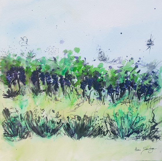 Les vignes - Watercolour