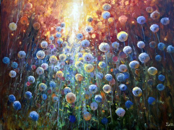 Dandelions at sunrise