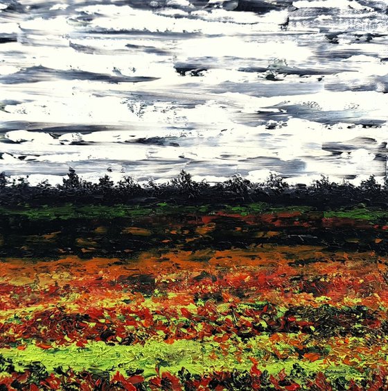 Meadow after rain 2