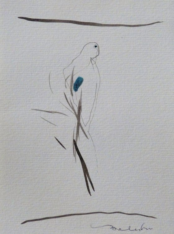 The Bird 19-5