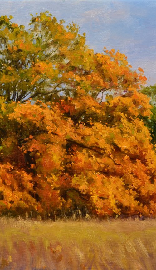 AUTUMN IN AN OAK GROVE 2 by Ruslan Kiprych