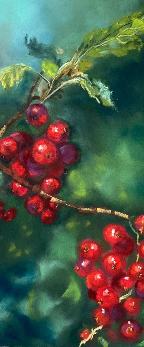 Red Currants by Candice Rouse