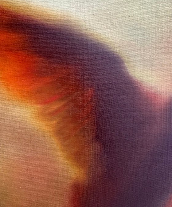 Flight