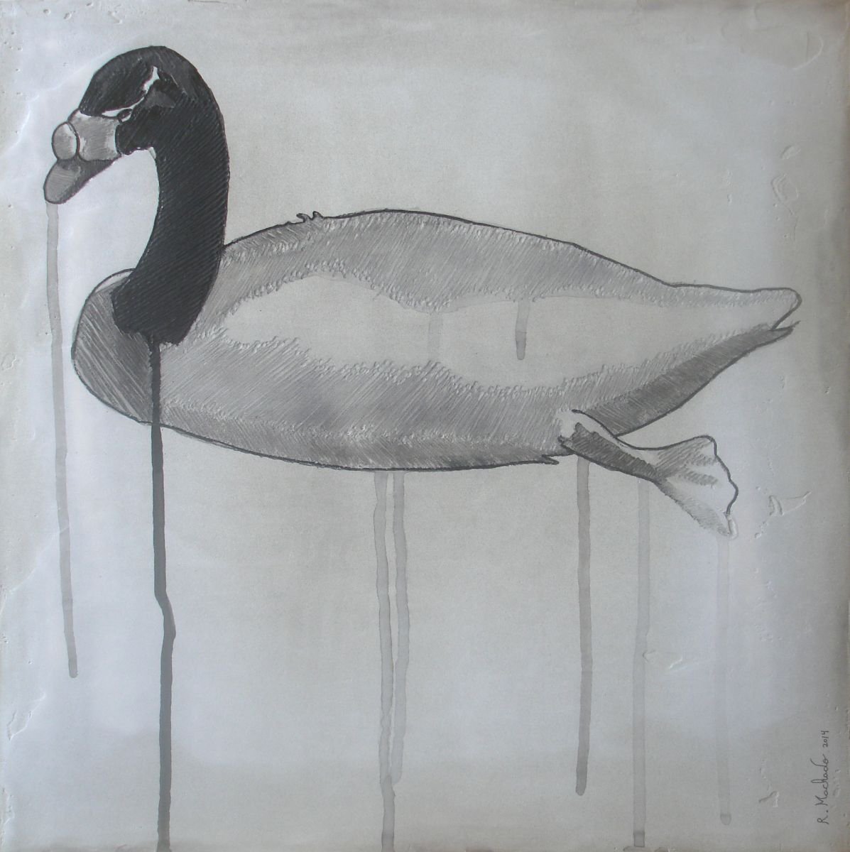 Duck by Ricardo Machado