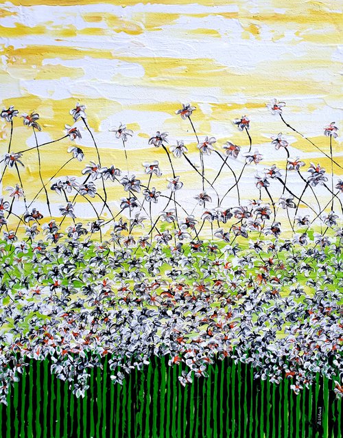 Daisy magic meadow 1 by Daniel Urbaník