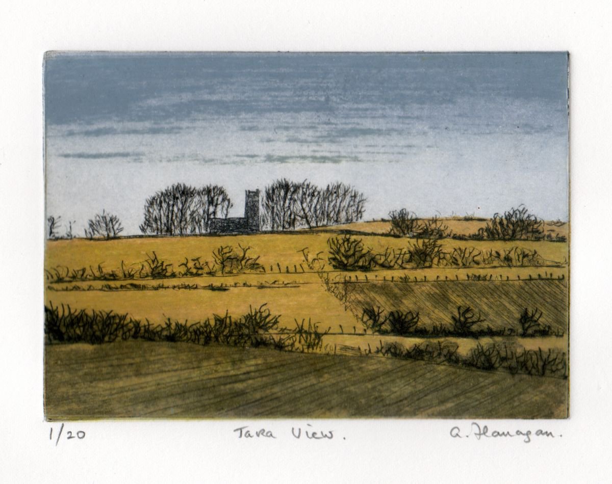 Tara View by Aidan Flanagan Irish Landscapes