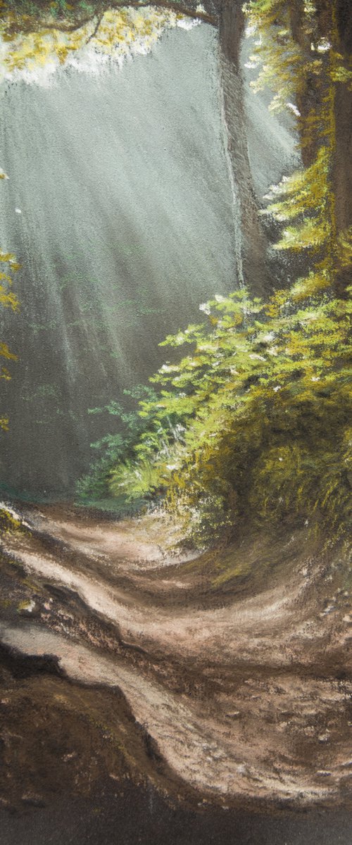 Light in the forest by Inna Medvedeva