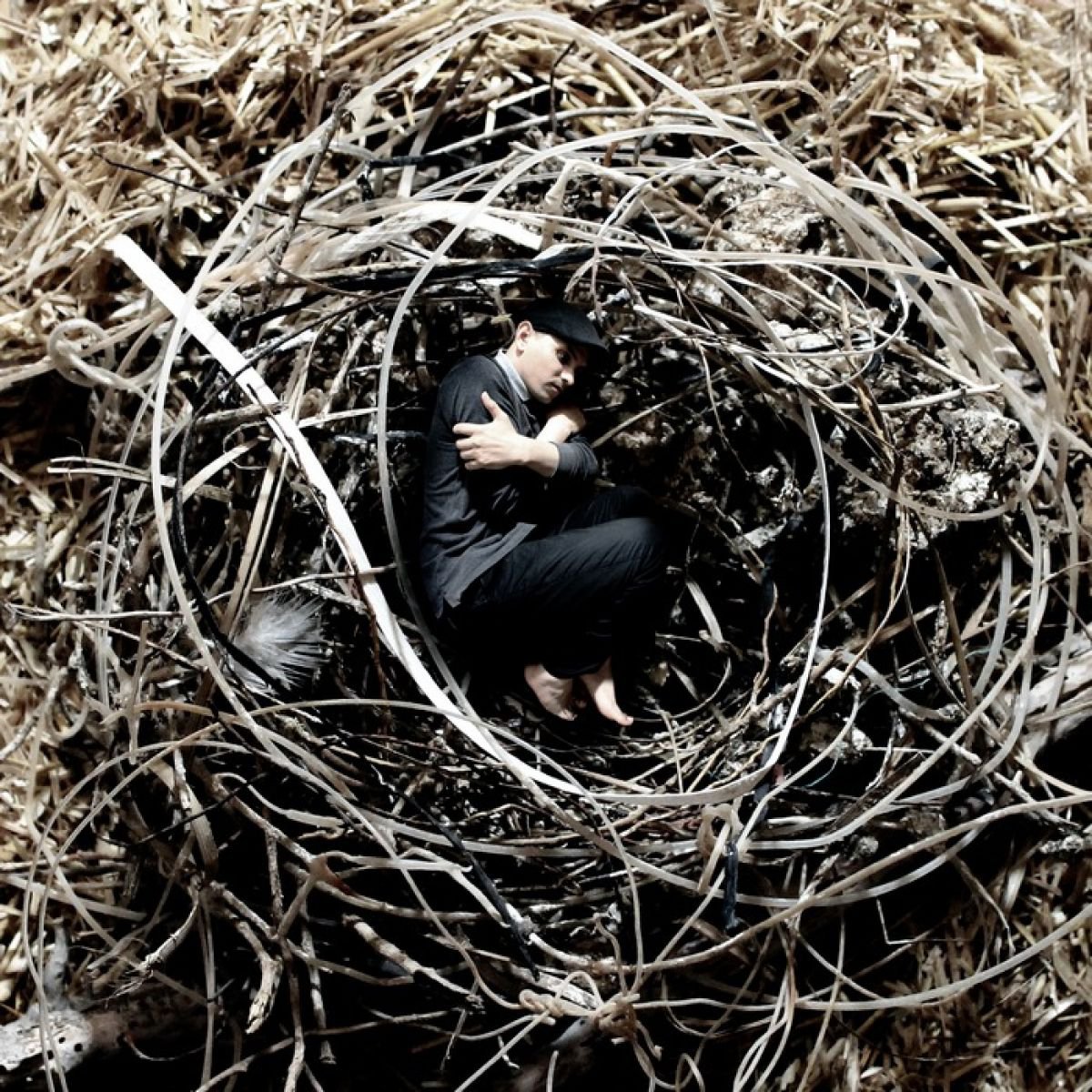 Into the Nest by Achraf Baznani