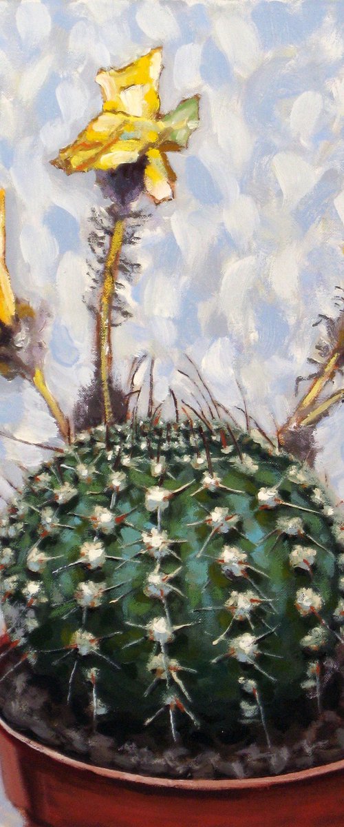 Barrel Cactus by Richard Gibson