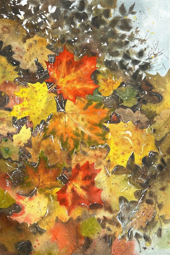 Autumn colors