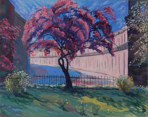 Cherry Tree in St Bernard's Crescent, Edinburgh by Stephen Howard Harrison