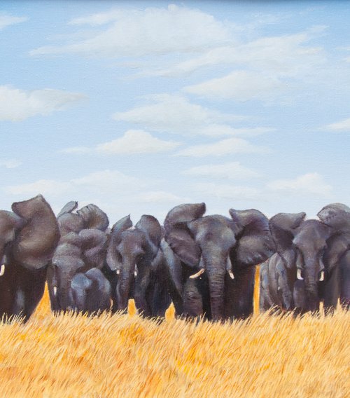 Herd of elephants by Norma Beatriz Zaro