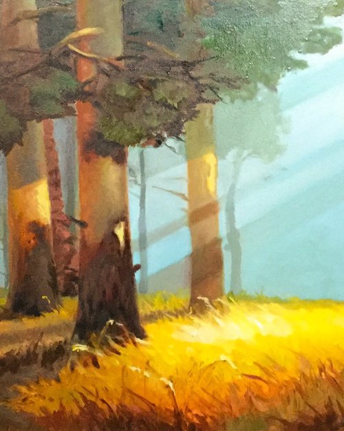 Sunlit Forest Glade by Mila Rea