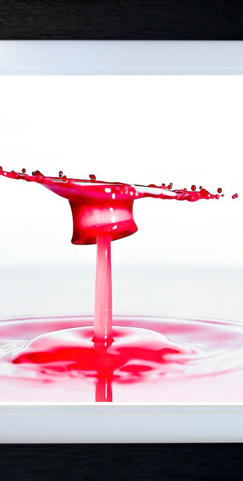 'Bloody Carousel 1' - Liquid Art by Michael McHugh