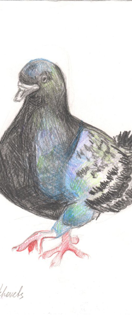 Bird drawing. by Mag Verkhovets