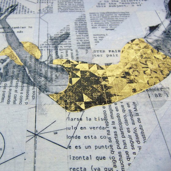 Collage_11_30x30 cm_Golden swimmer