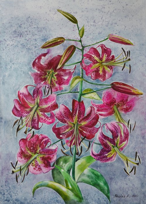Lilies by Elena Shichko