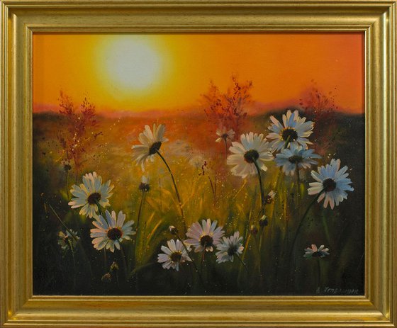 Chamomile Sunset