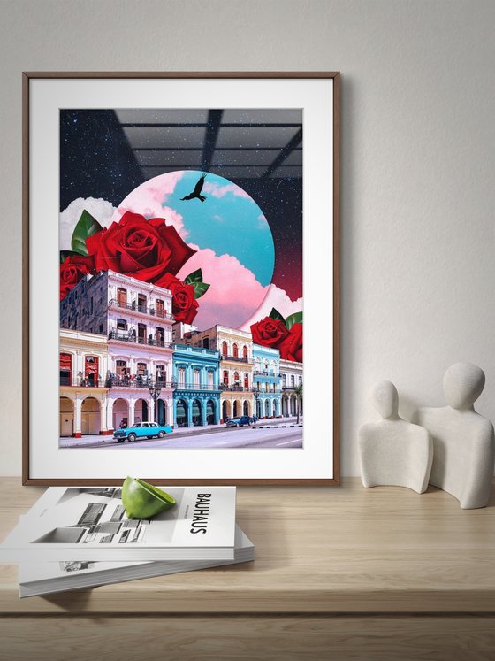 Cuba&Roses