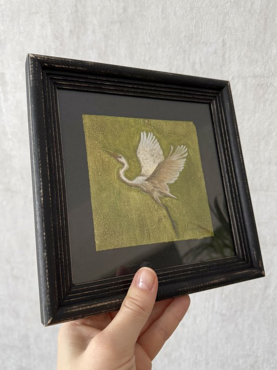 White Egret