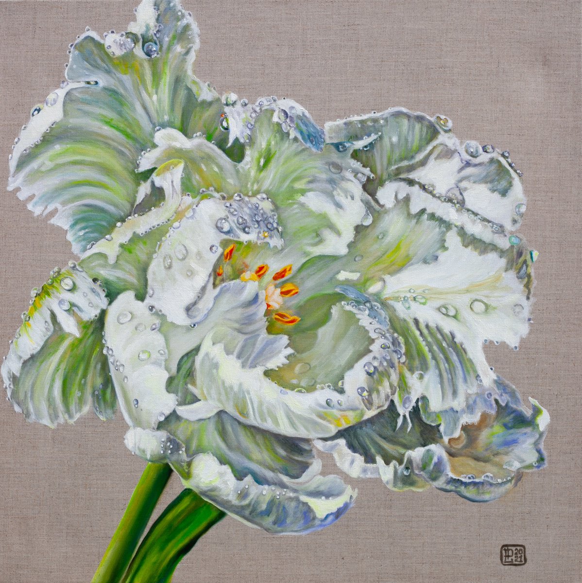 Photorealistic Botanical Oil Painting By Liudmila Pisliakova, 24 X 24", White Tulip, Original Artwork
