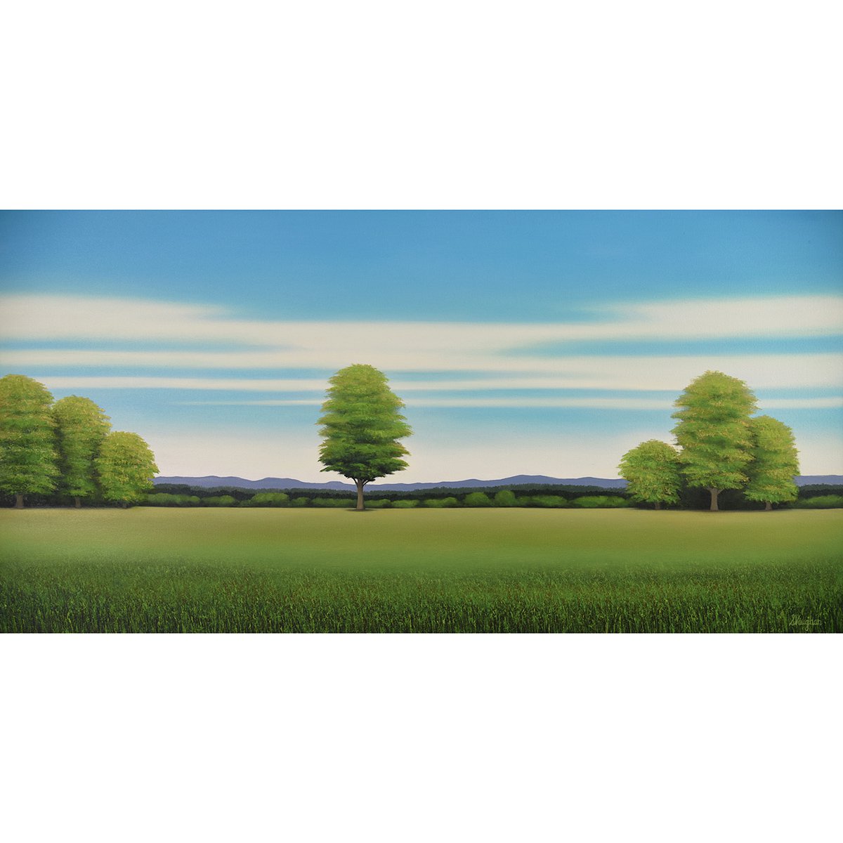 Countryside Trees - Blue Sky By Suzanne Vaughan, 47 X 24, Artwork For Sale On Artfinder
